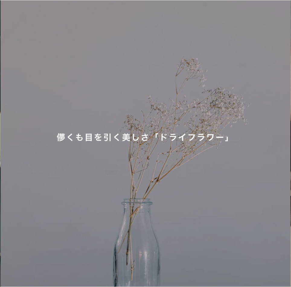 ドライフラワー