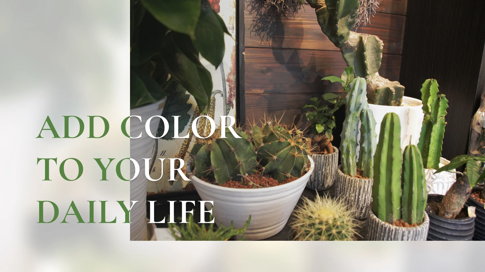 メインビジュアル